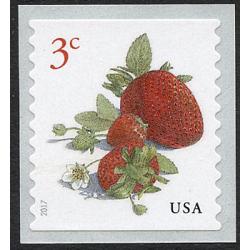 #5201 Strawberries, Coil