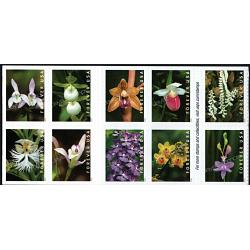 #5454a Wild Orchids, Booklet Block of Ten