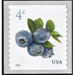 #5653 Blueberries, Coil Stamp