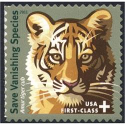 #B4  Save Vanishing Species, Amur Tiger Cub