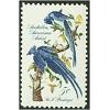 #1241 Audubon Jays