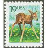 #2479 Fawn