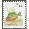 #2481 Pumpkinseed Sunfish