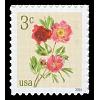#5899 Peonies - Sheet Stamp