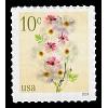 #5901 Poppies & Coneflowers - Sheet Stamp