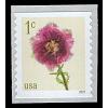 #5902 1¢ Fringed Tulip, Coil