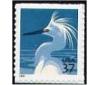 2003-05 Snowy Egret