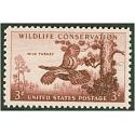 #1077 Wildlife - Wild Turkey