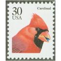 #2480 Cardinal