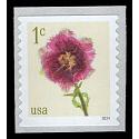 #5902 1¢ Fringed Tulip, Coil