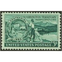 #1019 Washington Territory Centennial