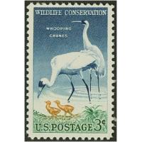 #1098 Wildlife Conservation, Whooping Crane