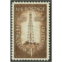 #1134 Petroleum Industry