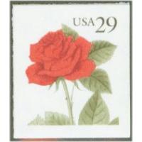 #2490 Red Rose, Booklet Single