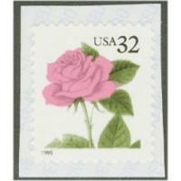 #2492v Pink Rose, Coil