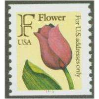 #2518 "F" and Flower, Coil