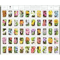 #2647-96 Wildflowers, Fifty Singles