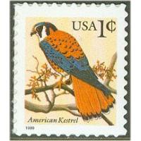#3031 American Kestrel, Black 1999 Date, Die Cut 10¼