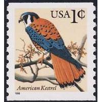 #3044v Kestrel, Coil - Small Black 1996 Date