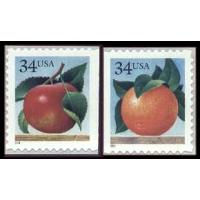 #3491 & 3492, Apple & Orange Set of 2 Singles