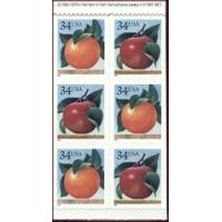 #3494d Apple & Orange Pane of Six