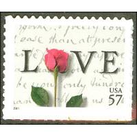 #3551 Rose & Love Letter