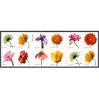 #4185b Beautiful Blooms, Block of 12 from Convertible Book