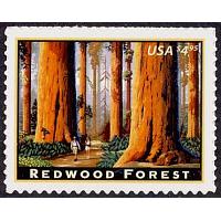 #4378 California Redwood Forest, Priority Mail