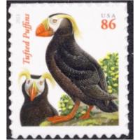SOLD OUT #4737A Tufted Puffins, Black Year Date (BUYING)