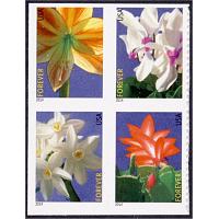 #4865a Winter Flowers, Block of Four