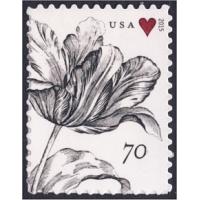 #4960 Vintage Tulip