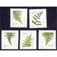 #4973-77 Ferns Forever 2015, Set of Five Singles
