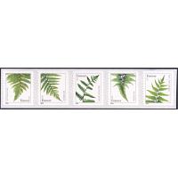 #4977b Ferns Forever Dated 2014, Coil Strip of Five
