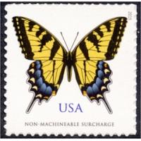 #4999 Eastern Tiger Swallowtail Butterfly