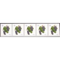 #5038 Piot Noir Grapes, PNC Plate Number Strip of Five, #P111111