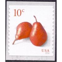 #5039 Red Pears, Coil