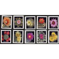#5350-59 Cactus Flowers, Set of Ten Singles