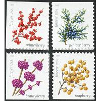 #5415-18 Winter Berries, Set of Four Singles