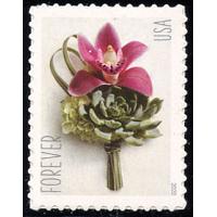 #5457 Contemporary Boutonniere