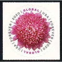 #5460 Chrysanthemum, Global Rate