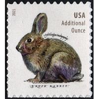 #5544 Brush Rabbit, Sheet Stamp