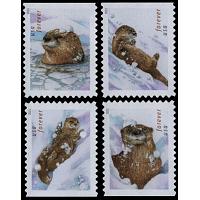 #5648-51 Otters in Snow, Set of Four Singles