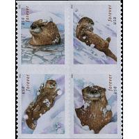 #5651a Otters in Snow, Block of Four