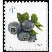 #5652 Blueberries, Sheet Stamp