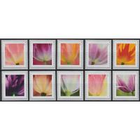 #5767-76 Tulip Blossoms, Set of Ten Coil Single Stamps