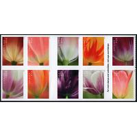 #5786a Tulip Blossoms, Booklet Block of Ten