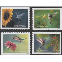 #5845-48 Garden Delights, Set of Four Singles