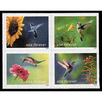 #5848a Garden Delights, Block of Four