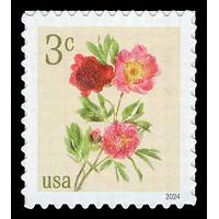 #5899 Peonies - Sheet Stamp