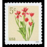 #5900 Red Tulips - Sheet Stamp
